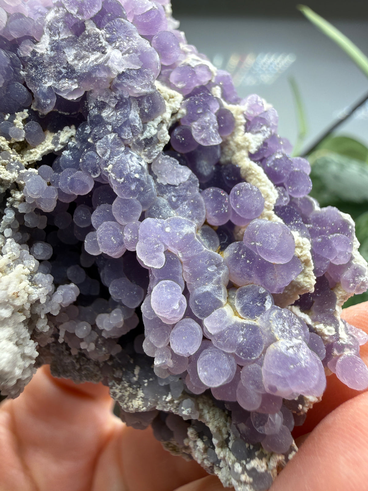 Grape Agate (Quartz var. Amethyst)- Mamuju Regency, West Sulawesi Province, Indonesia