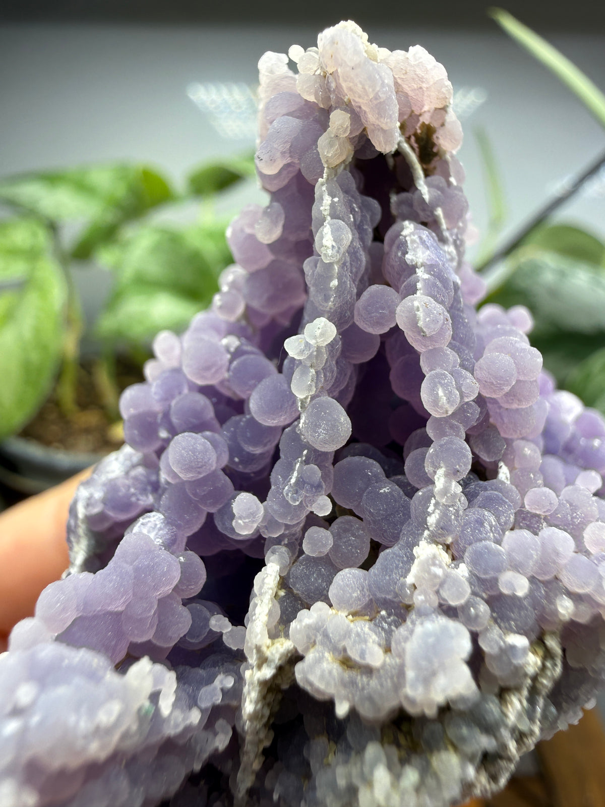 Grape Agate (Quartz var. Amethyst)- Mamuju Regency, West Sulawesi Province, Indonesia