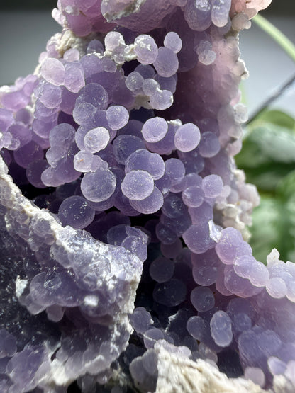 Grape Agate (Quartz var. Amethyst)- Mamuju Regency, West Sulawesi Province, Indonesia