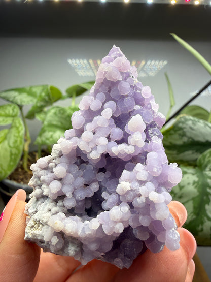 Grape Agate (Quartz var. Amethyst)- Mamuju Regency, West Sulawesi Province, Indonesia