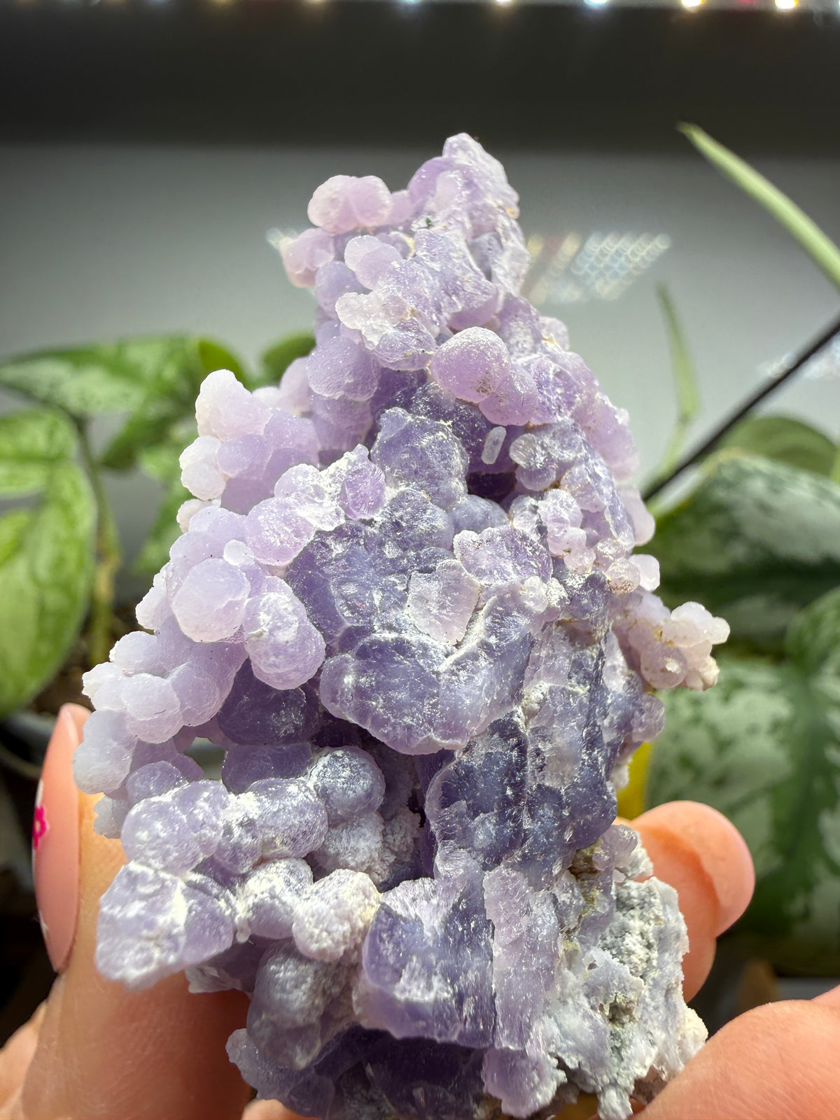 Grape Agate (Quartz var. Amethyst)- Mamuju Regency, West Sulawesi Province, Indonesia