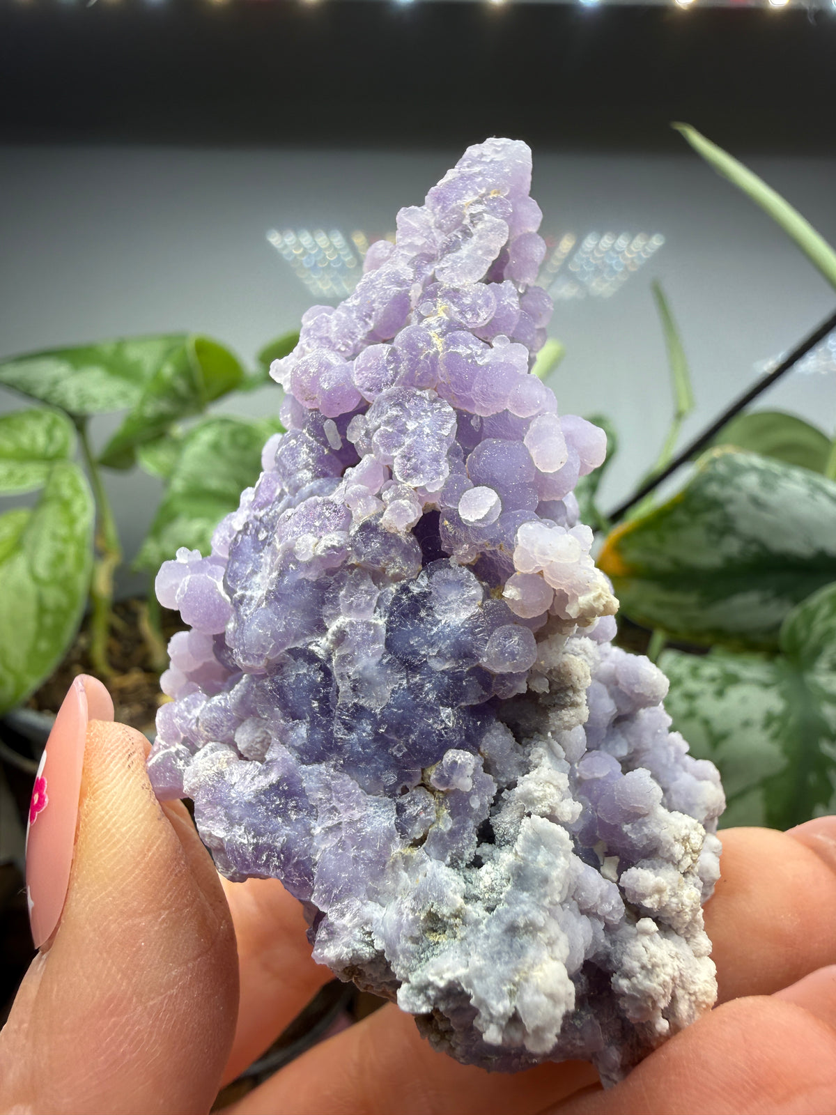 Grape Agate (Quartz var. Amethyst)- Mamuju Regency, West Sulawesi Province, Indonesia