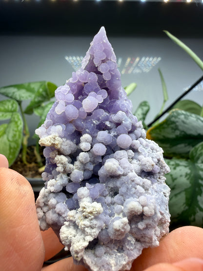 Grape Agate (Quartz var. Amethyst)- Mamuju Regency, West Sulawesi Province, Indonesia