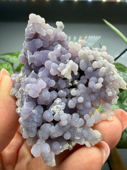 Grape Agate (Quartz var. Amethyst)- Mamuju Regency, West Sulawesi Province, Indonesia