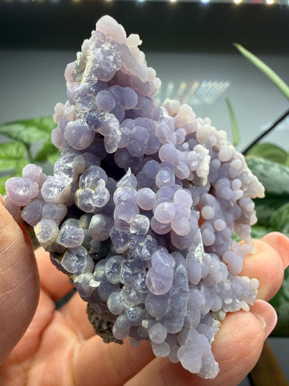 Grape Agate (Quartz var. Amethyst)- Mamuju Regency, West Sulawesi Province, Indonesia