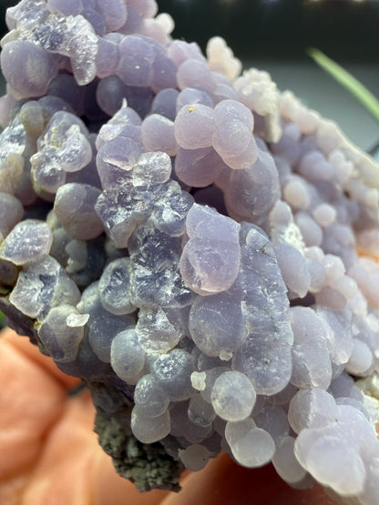 Grape Agate (Quartz var. Amethyst)- Mamuju Regency, West Sulawesi Province, Indonesia