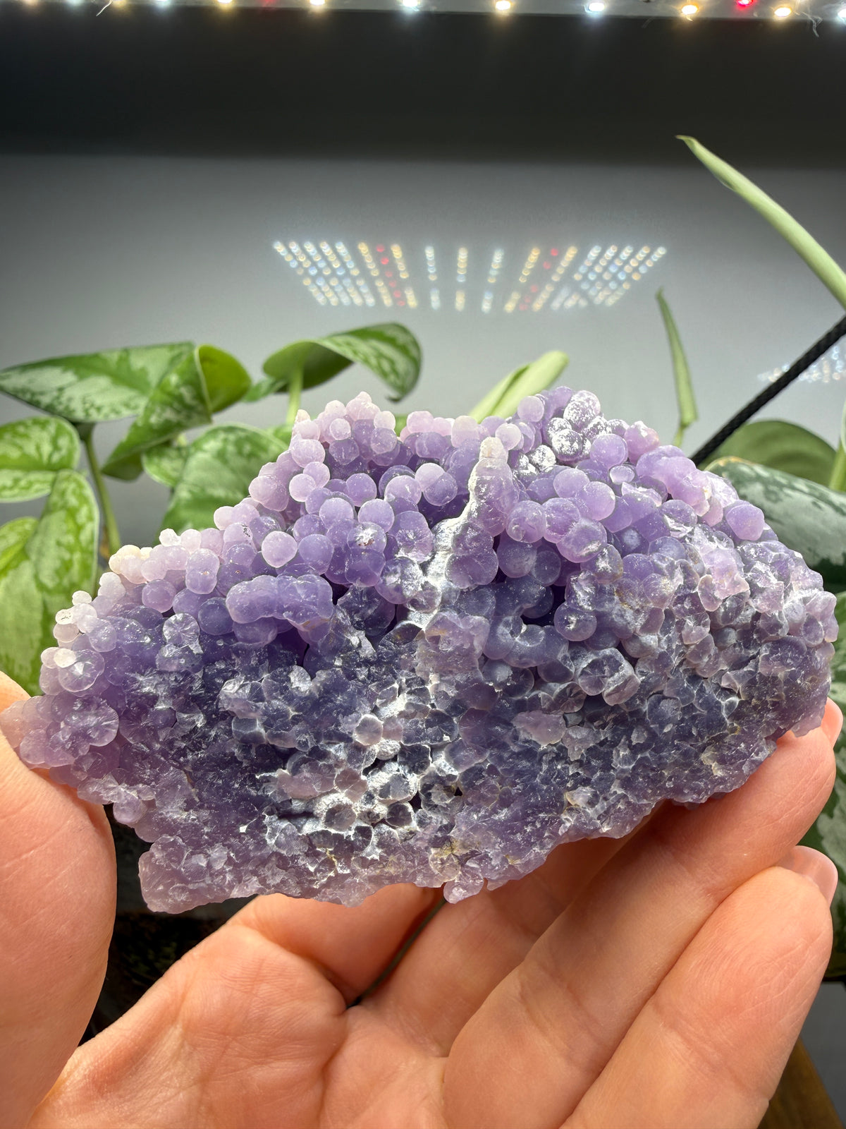 Grape Agate (Quartz var. Amethyst)- Mamuju Regency, West Sulawesi Province, Indonesia