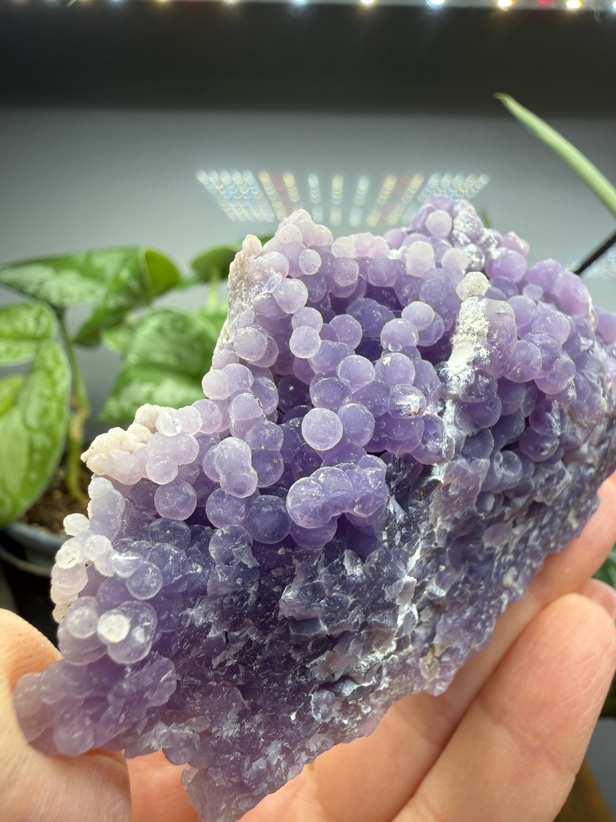 Grape Agate (Quartz var. Amethyst)- Mamuju Regency, West Sulawesi Province, Indonesia