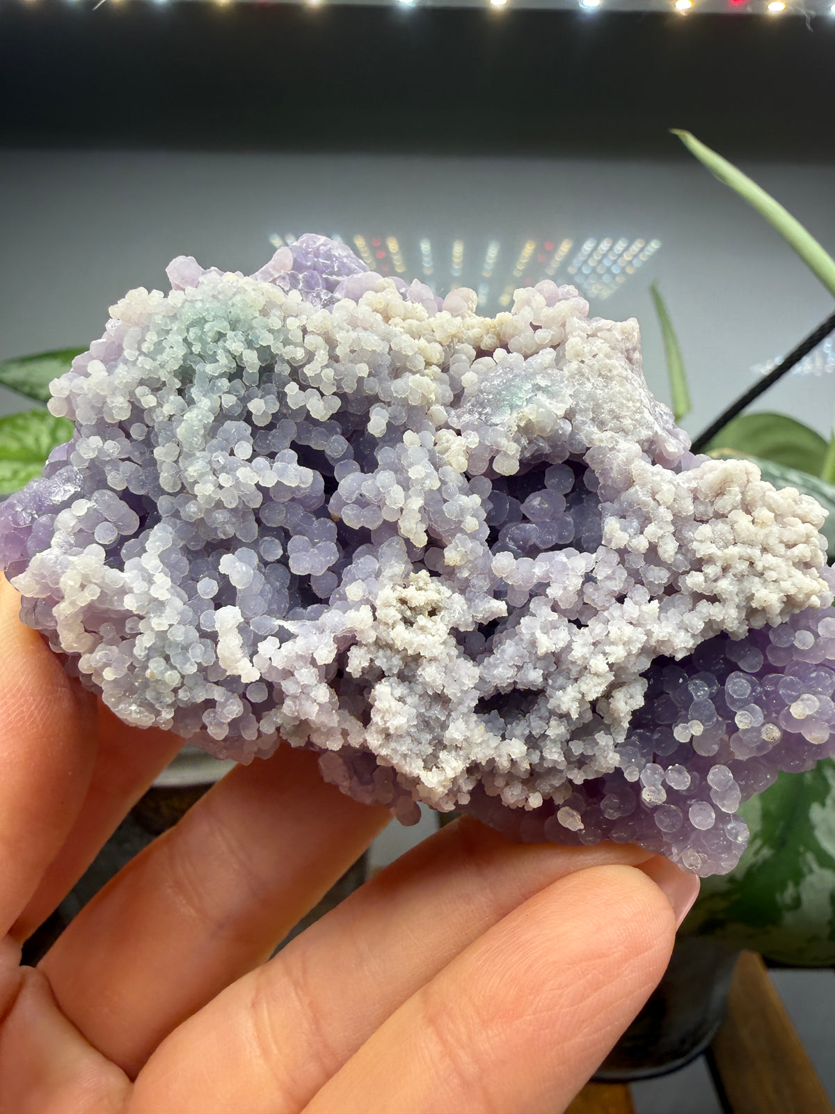 Grape Agate (Quartz var. Amethyst)- Mamuju Regency, West Sulawesi Province, Indonesia