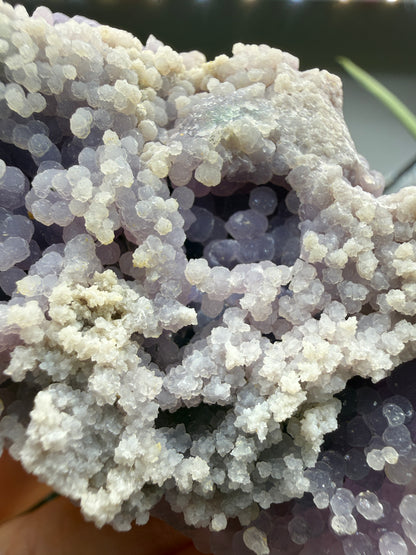 Grape Agate (Quartz var. Amethyst)- Mamuju Regency, West Sulawesi Province, Indonesia