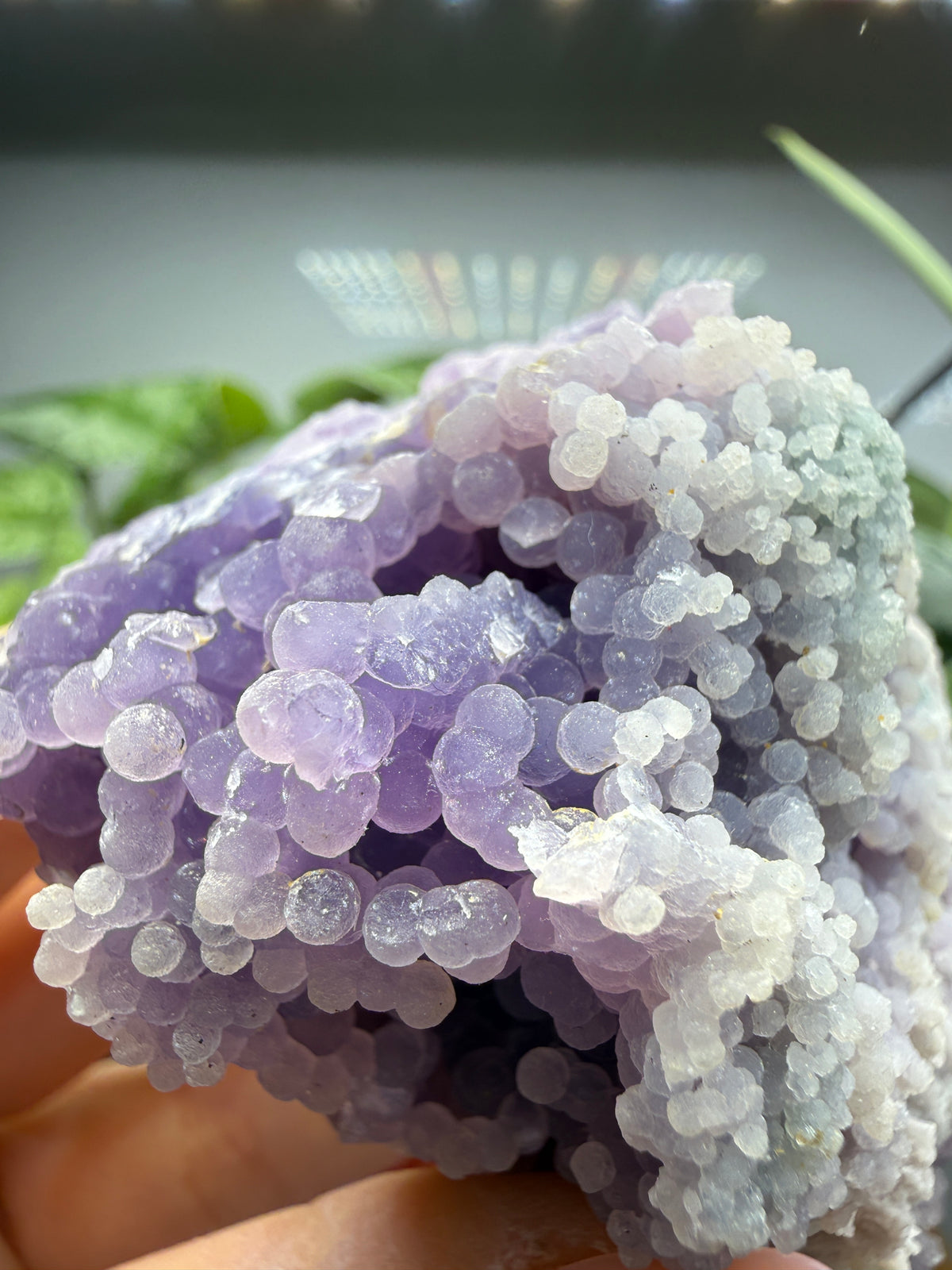 Grape Agate (Quartz var. Amethyst)- Mamuju Regency, West Sulawesi Province, Indonesia