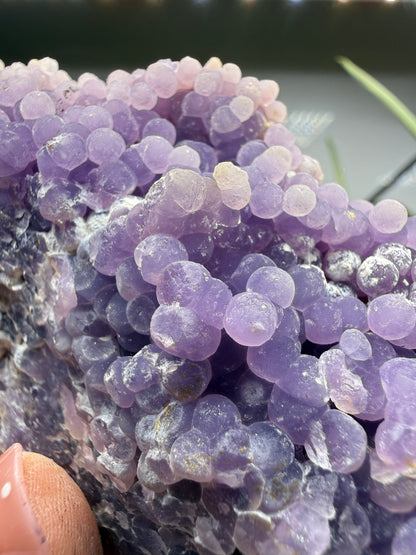Grape Agate (Quartz var. Amethyst)- Mamuju Regency, West Sulawesi Province, Indonesia