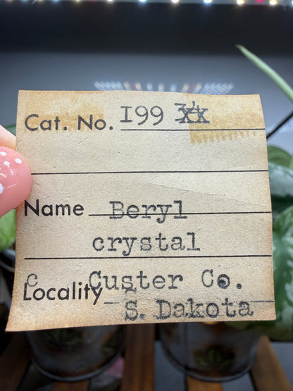 Beryl Crystal- Custer County, Black Hills, South Dakota, USA