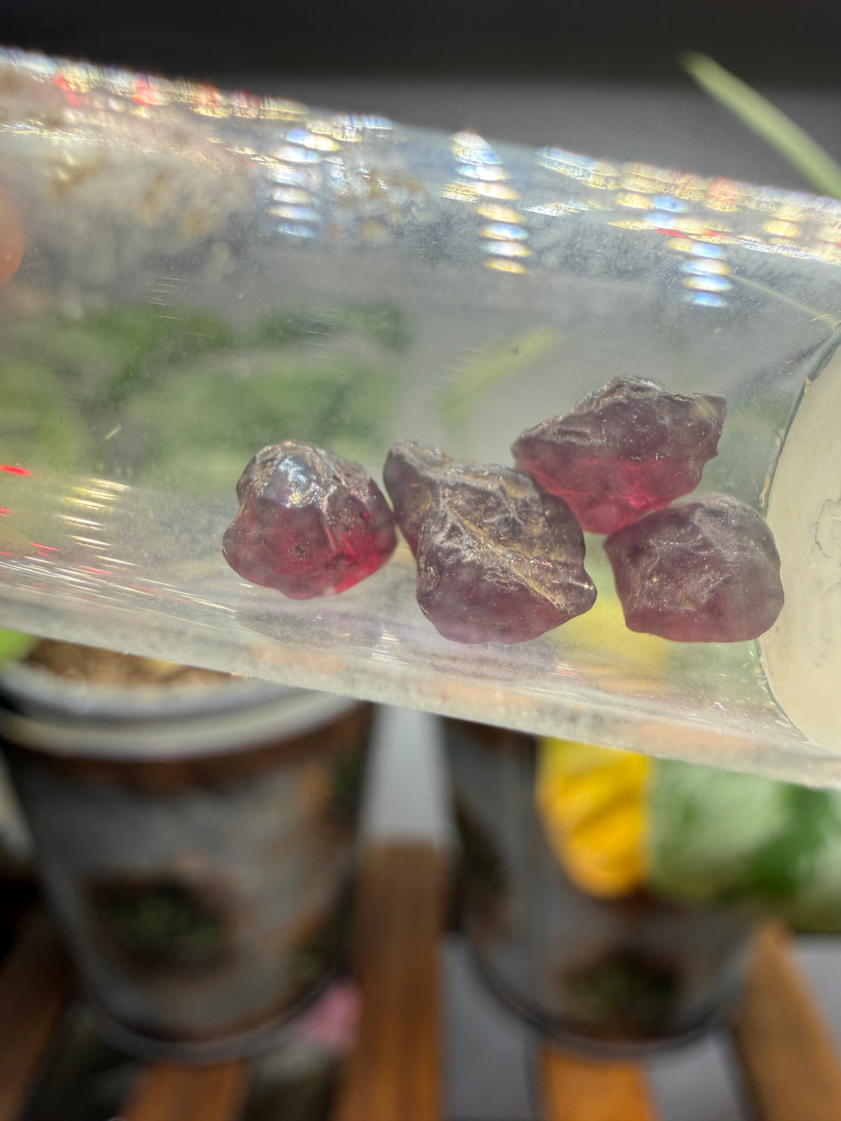 Garnet Crystals- Set of Four- Arizona, USA