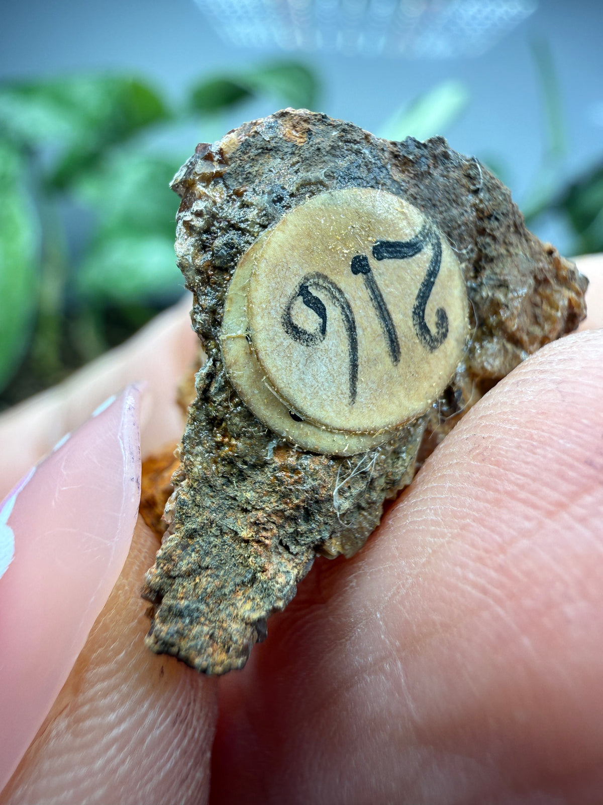 Zircon- Oklahoma, USA