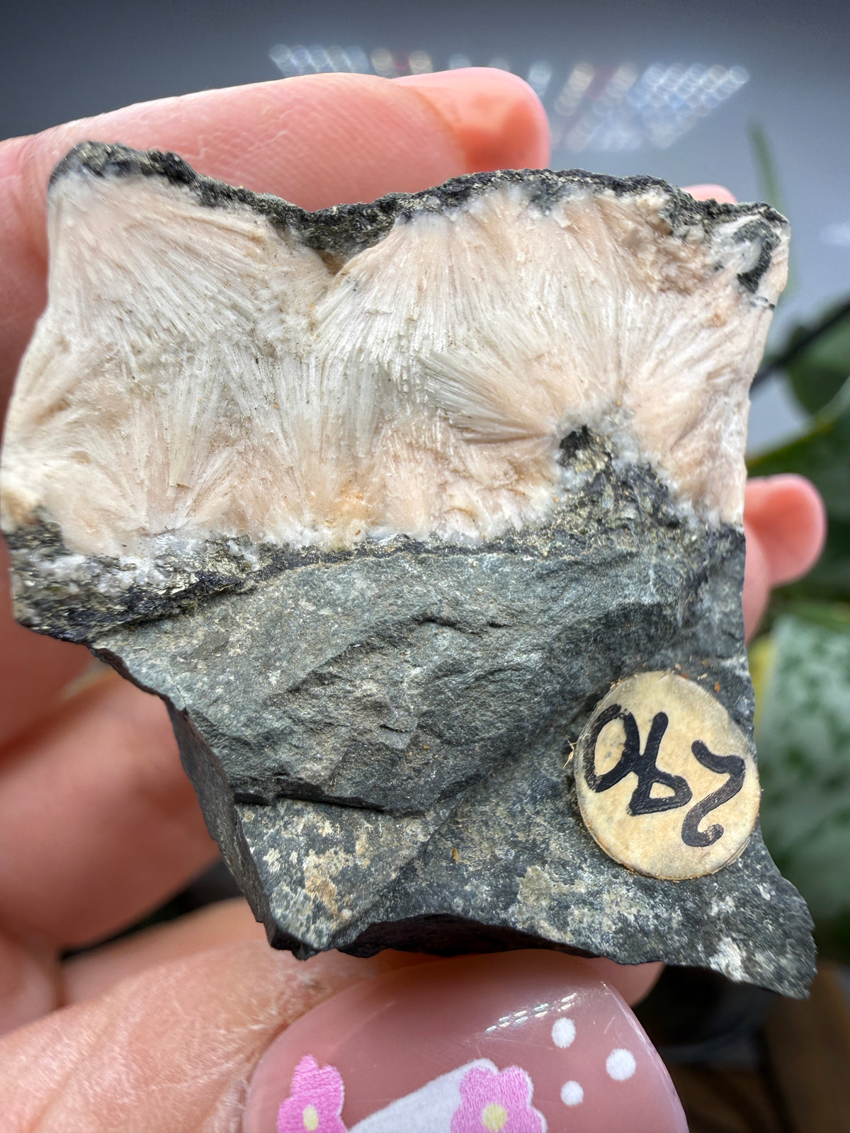 Natrolite (Fibrous)- Pennsylvania, USA