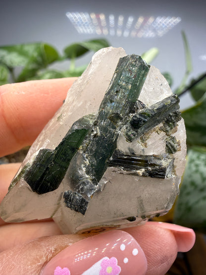 Tourmaline (Green) in Quartz- Brazil