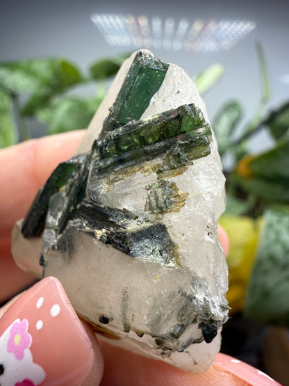 Tourmaline (Green) in Quartz- Brazil