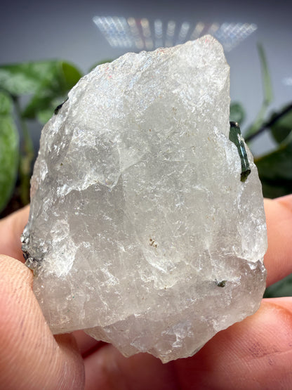 Tourmaline (Green) in Quartz- Brazil