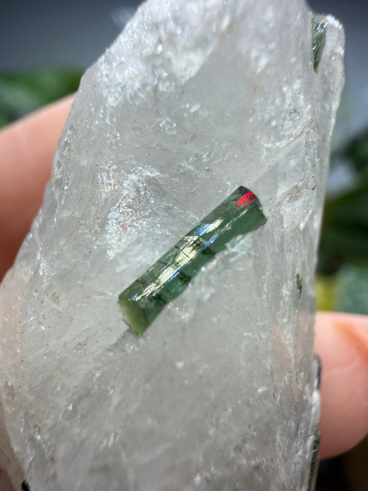 Tourmaline (Green) in Quartz- Brazil