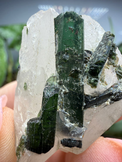 Tourmaline (Green) in Quartz- Brazil