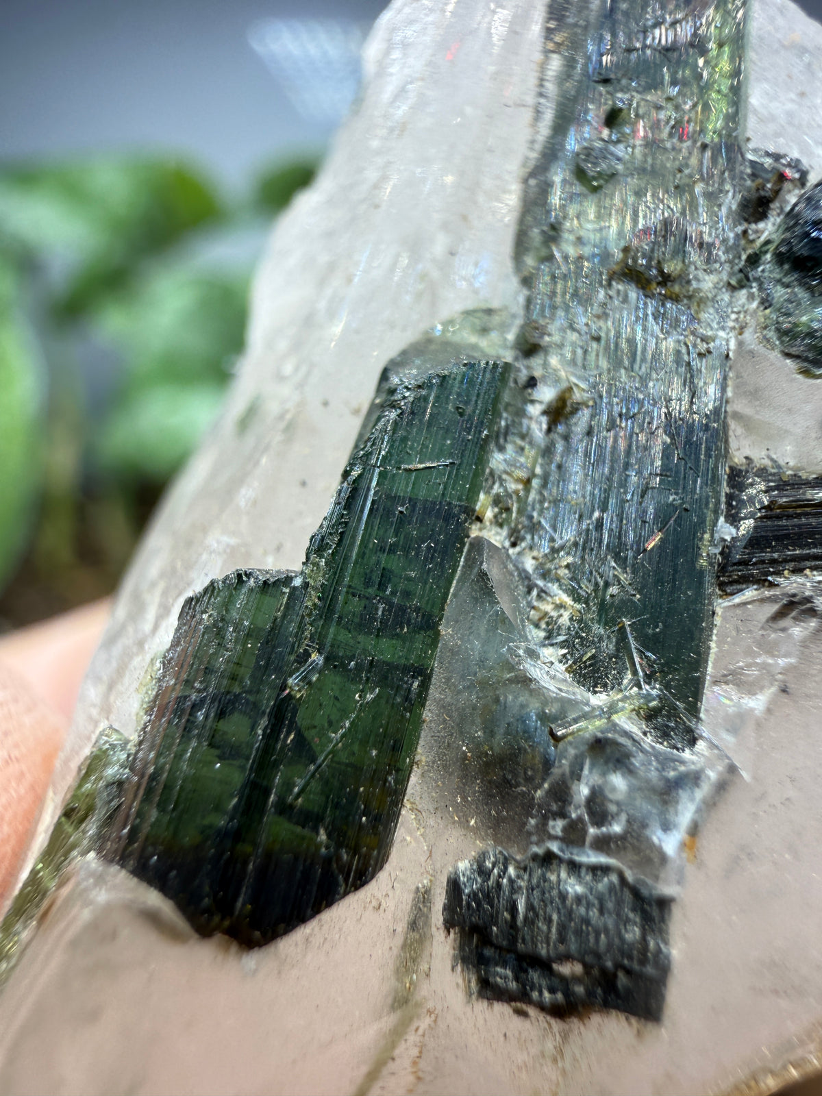 Tourmaline (Green) in Quartz- Brazil