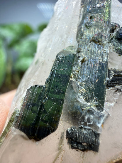 Tourmaline (Green) in Quartz- Brazil