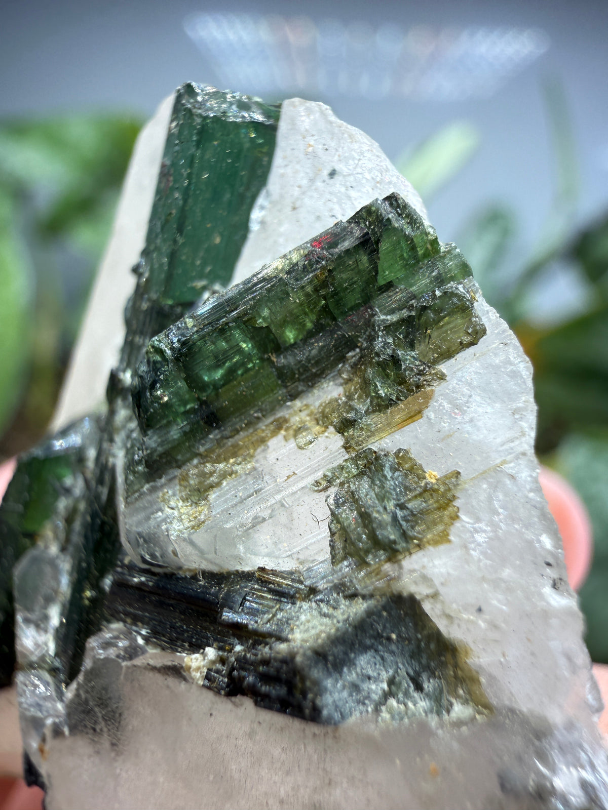 Tourmaline (Green) in Quartz- Brazil