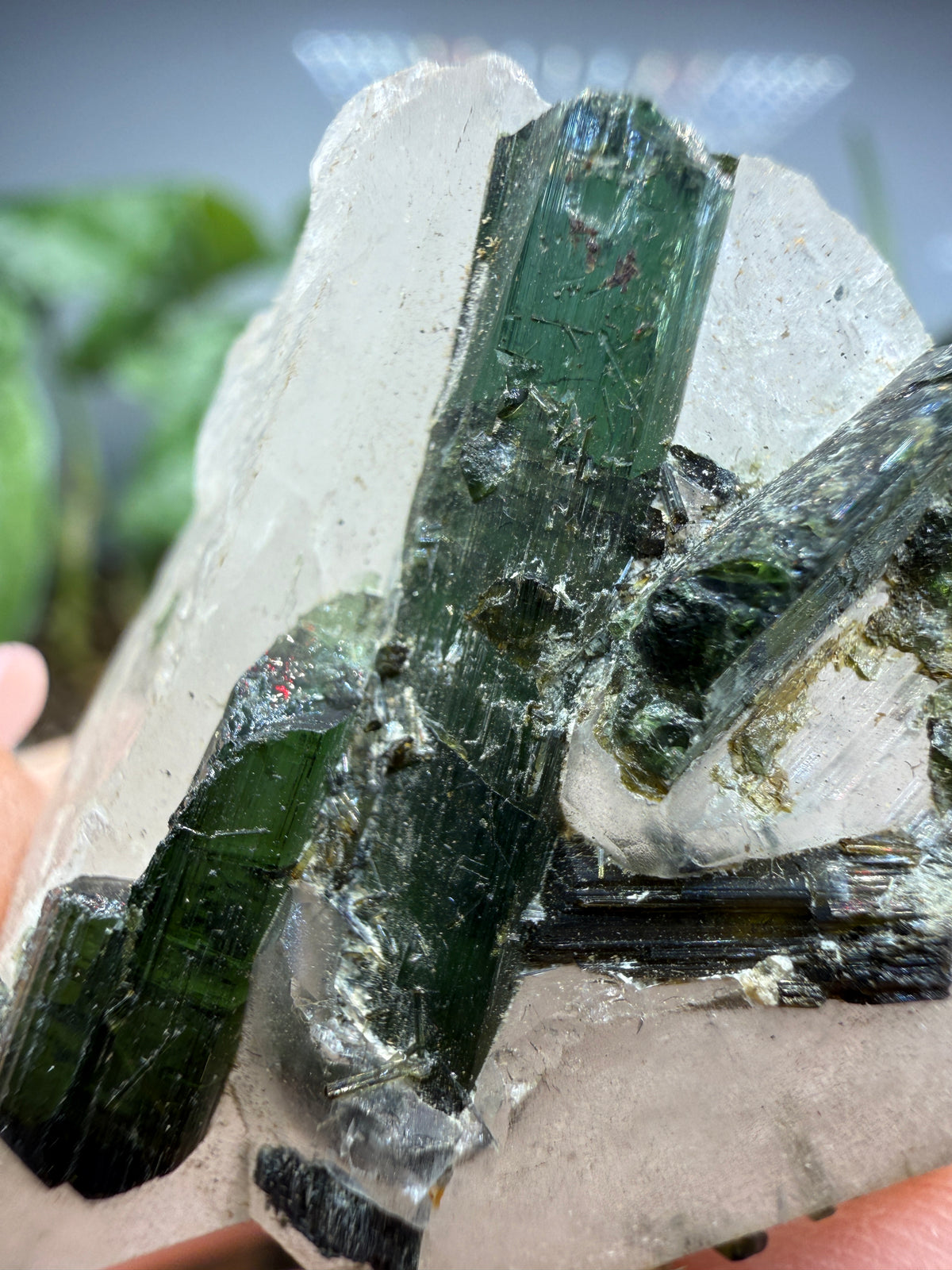 Tourmaline (Green) in Quartz- Brazil