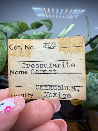 Grossular Garnet- Chihuahua, Mexico