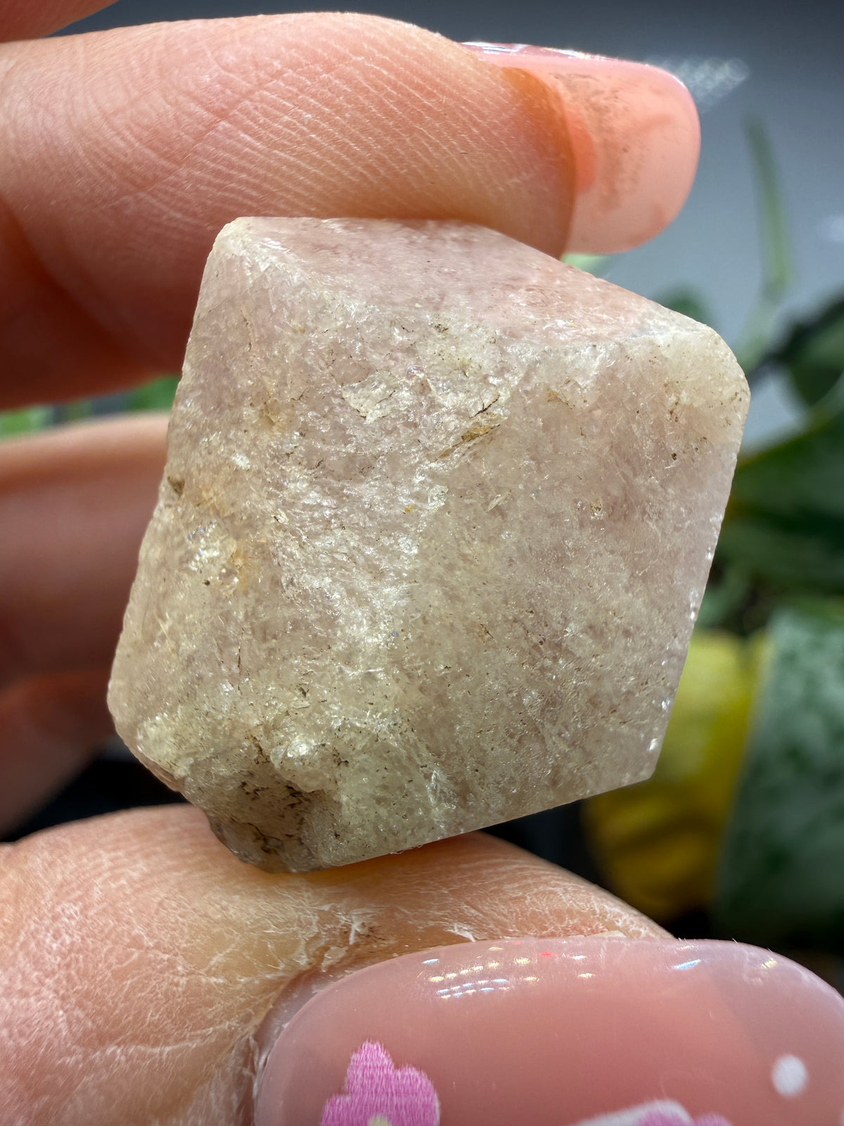 Grossular Garnet- Chihuahua, Mexico