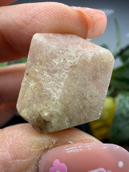 Grossular Garnet- Chihuahua, Mexico