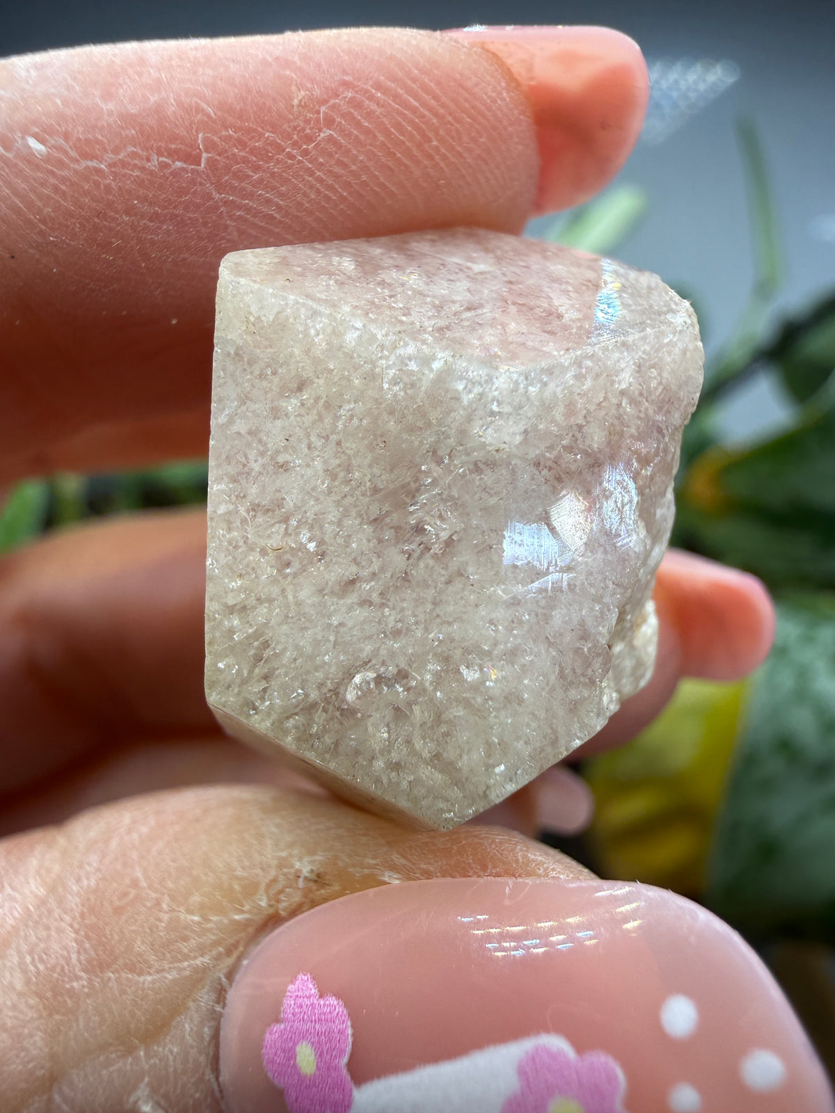 Grossular Garnet- Chihuahua, Mexico