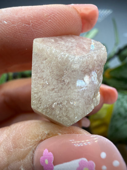 Grossular Garnet- Chihuahua, Mexico