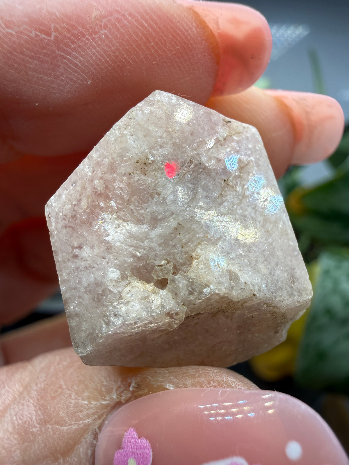 Grossular Garnet- Chihuahua, Mexico