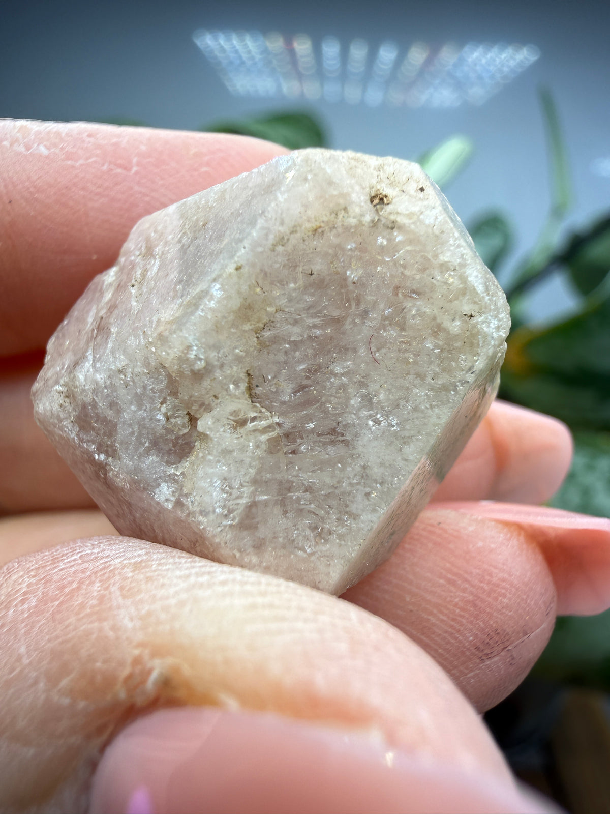 Grossular Garnet- Chihuahua, Mexico