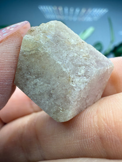 Grossular Garnet- Chihuahua, Mexico