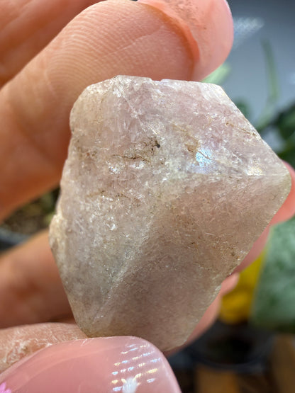 Grossular Garnet- Chihuahua, Mexico
