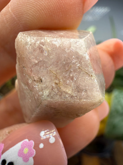 Grossular Garnet- Chihuahua, Mexico