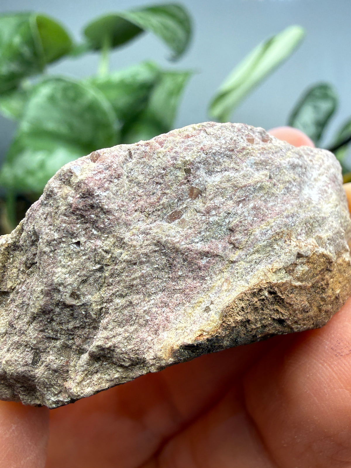Zunyite- Postmasburg Manganese Field, Northern Cape, South Africa