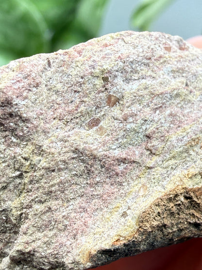 Zunyite- Postmasburg Manganese Field, Northern Cape, South Africa