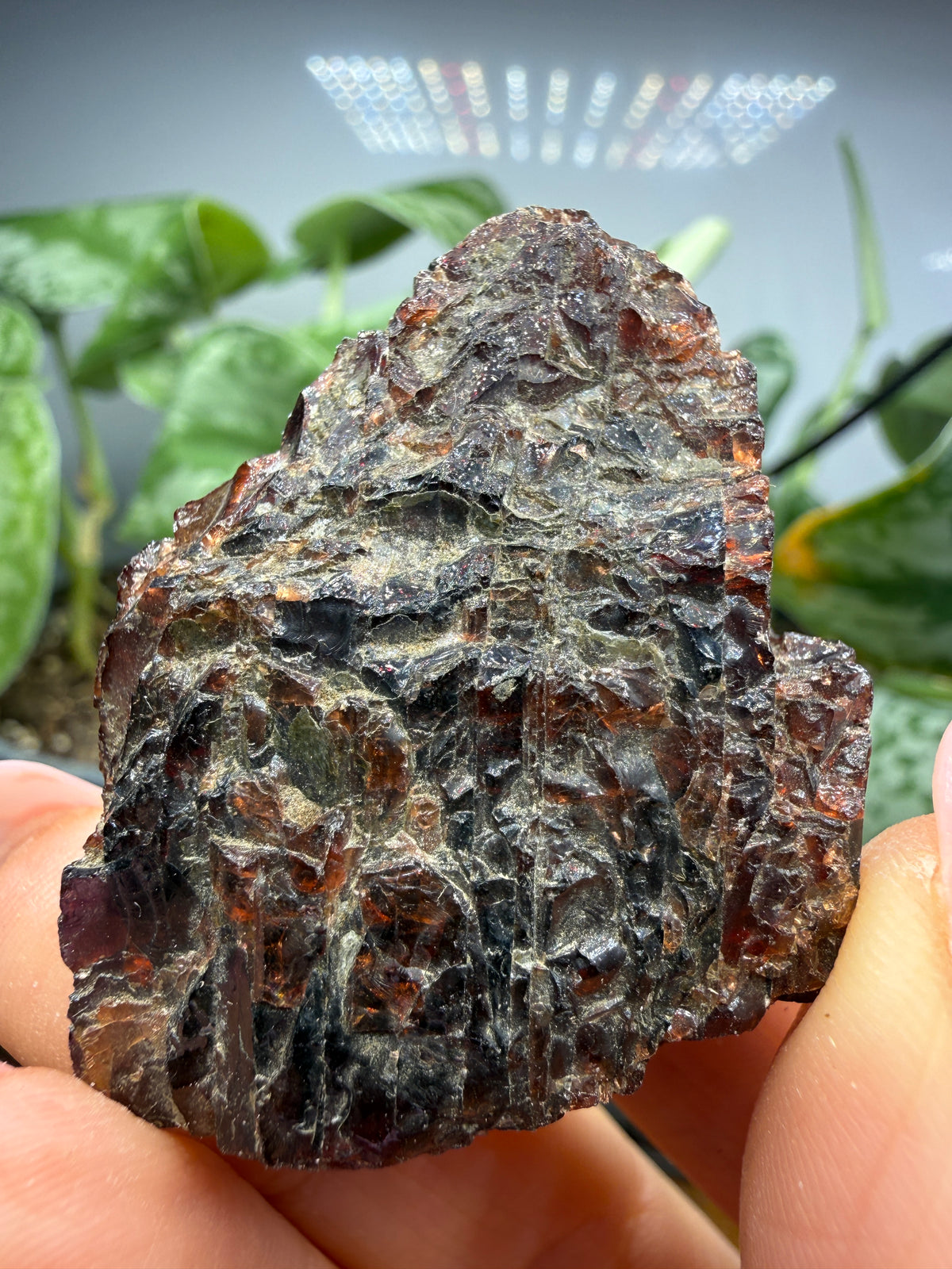 Garnet (Massive)- Arizona, USA