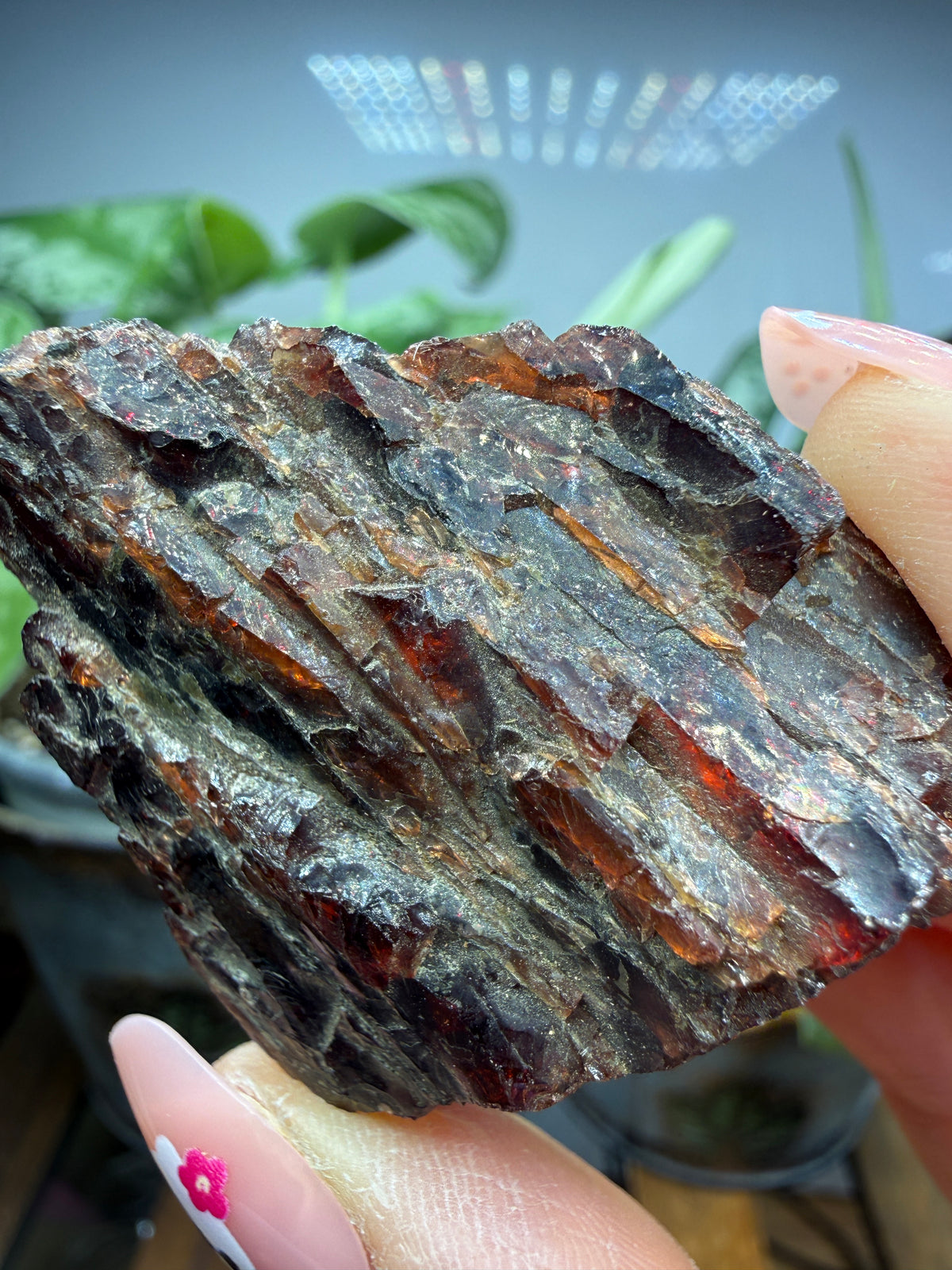 Garnet (Massive)- Arizona, USA