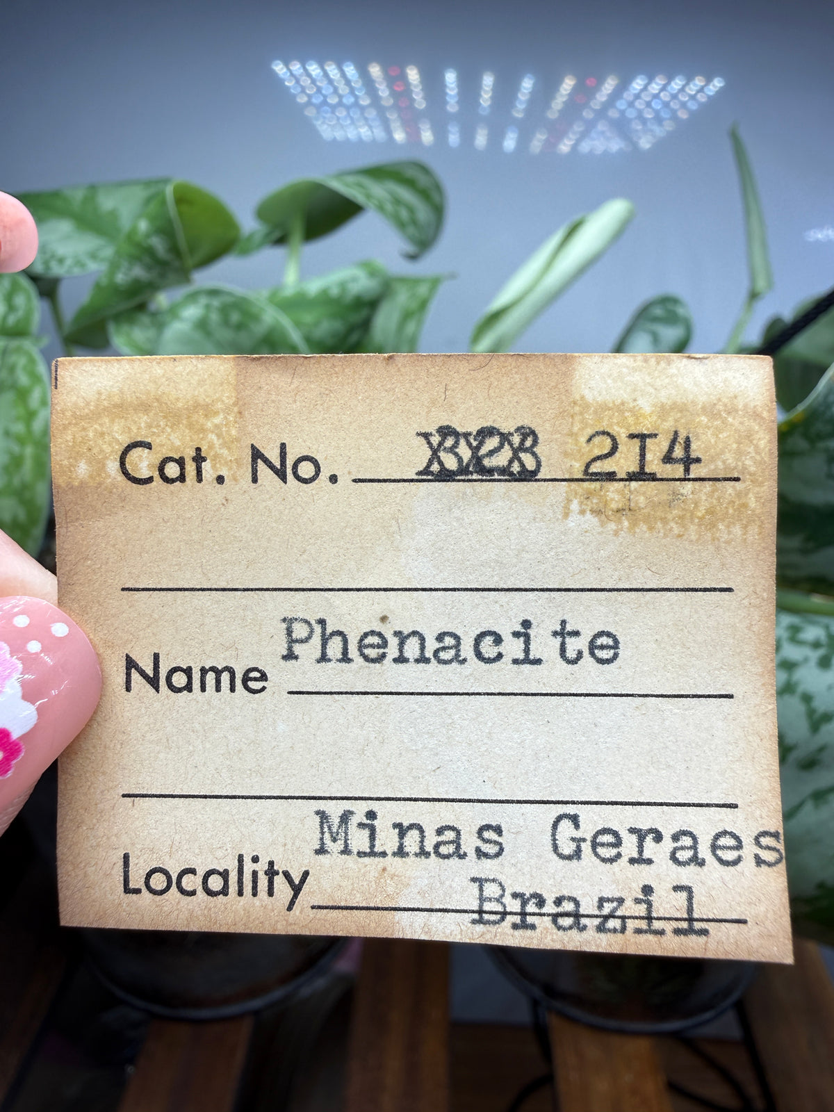 Phenakite (Phenacite)- Minas Gerais, Brazil