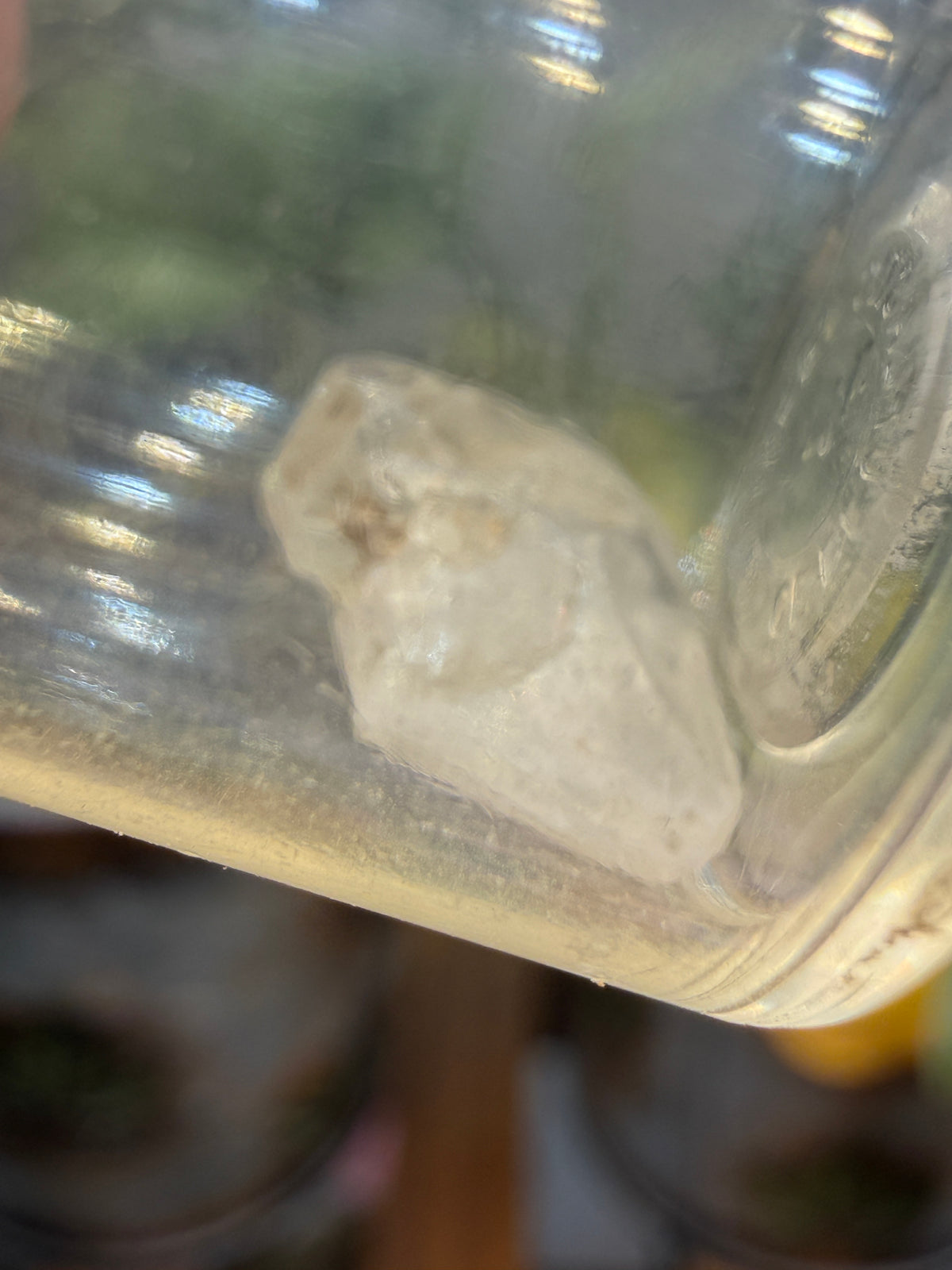Phenakite (Phenacite)- Minas Gerais, Brazil