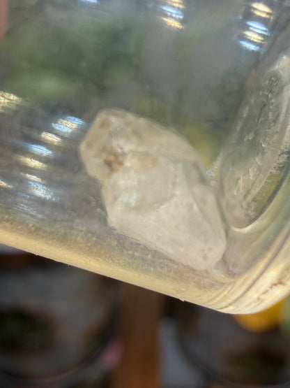 Phenakite (Phenacite)- Minas Gerais, Brazil