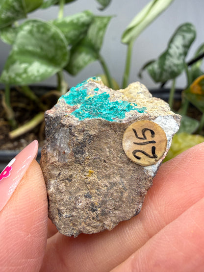 Dioptase- Tiger, Mammoth–St. Anthony Mining District, Pinal County, Arizona, USA