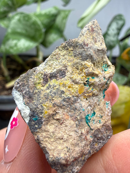 Dioptase- Tiger, Mammoth–St. Anthony Mining District, Pinal County, Arizona, USA