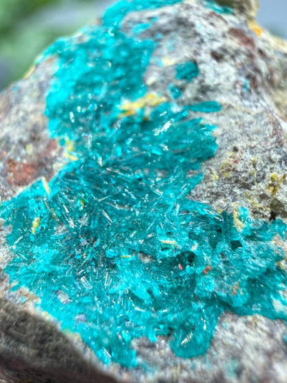 Dioptase- Tiger, Mammoth–St. Anthony Mining District, Pinal County, Arizona, USA
