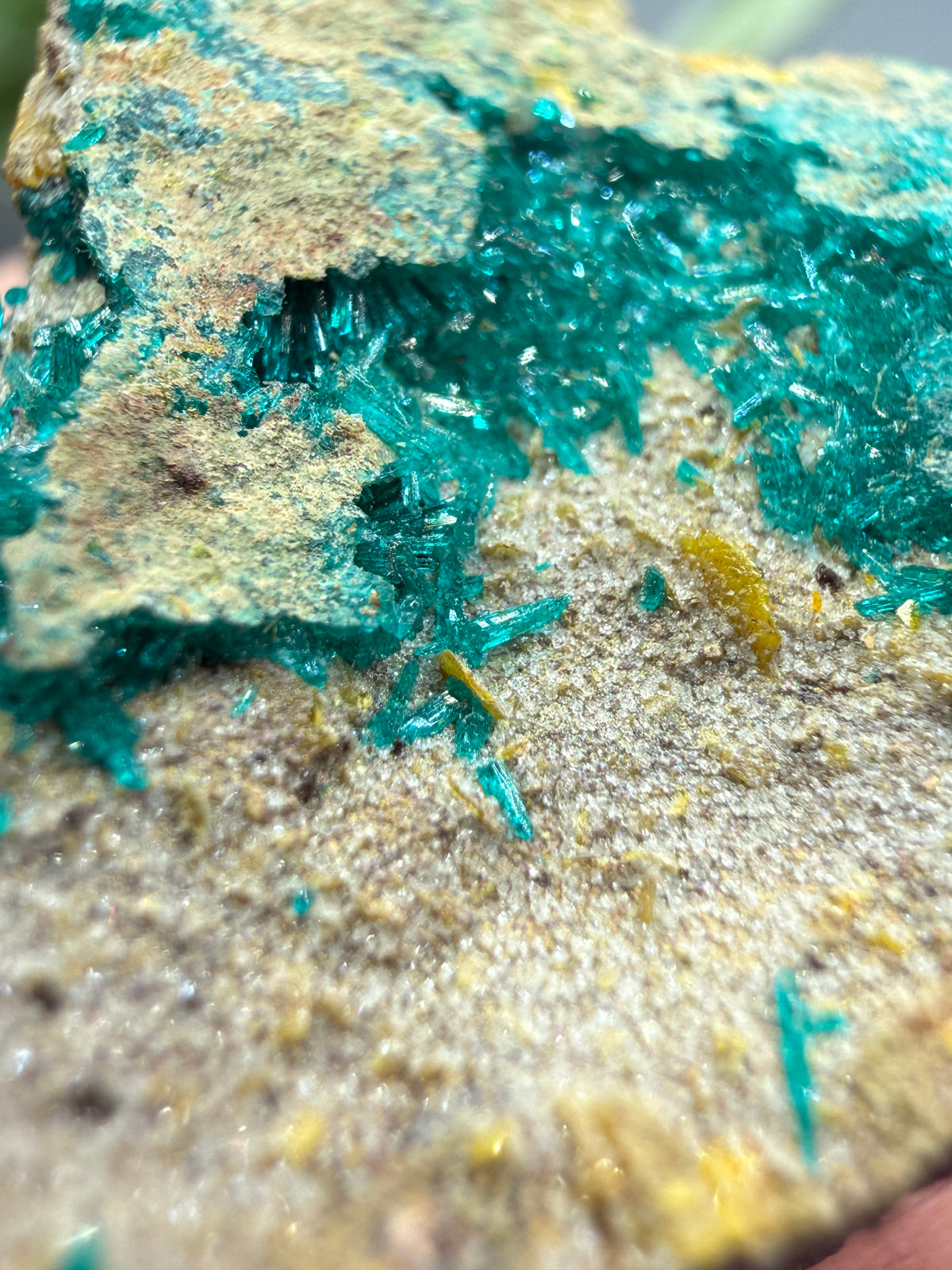 Dioptase- Tiger, Mammoth–St. Anthony Mining District, Pinal County, Arizona, USA